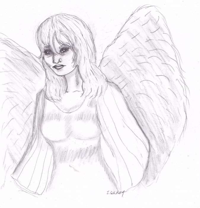 Fallen angel by Sally Gilroy